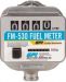 GPI FM-530 Flow Meter, 19-114lpm