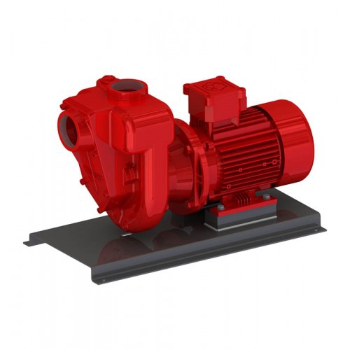 GMP, Self-Priming Centrifugal Pumps, Cast Iron With Bronze Impeller (for Petrol), ATEX Approved