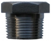 316 Stainless Steel Blanking Plug - Hex Head, 150LB BSPT