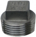 316 Stainless Steel Blanking Plug - Square Head, 150LB BSPT