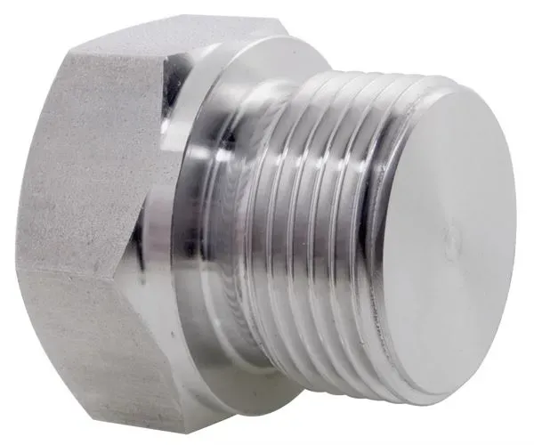 316 Stainless Steel Blanking Plug - Hex Head, 150LB BSPP