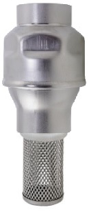 Foot Valve, 304 Stainless Steel, FF, BSPP