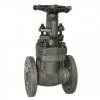 Gate Valve, A105 Forged Carbon Steel, ASME B16.5 ANSI 150 Flanged