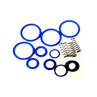 Gammon GTP-8720-31L, Viper Additive Injection System, Pump Check Valve Repair Kit For Biobor