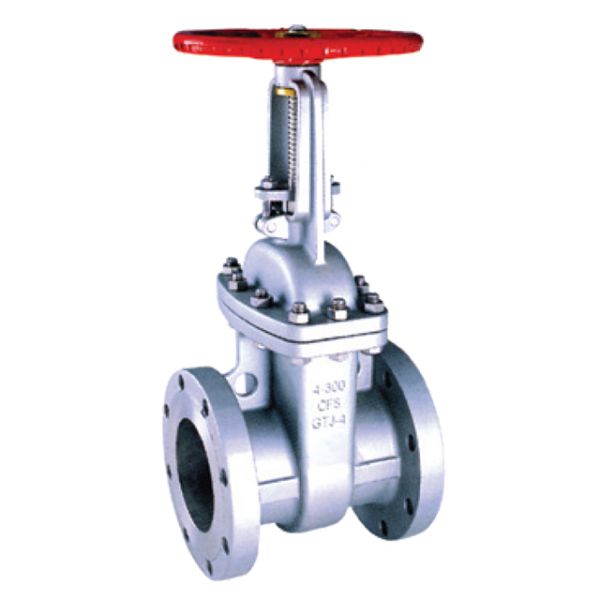 Gate Valve, CF8M Stainless Steel, ANSI 150 Flanged