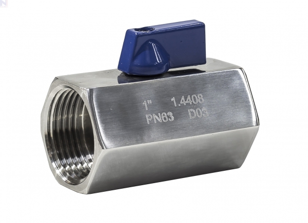 Ball Valve, Mini, 316 Stainless Steel, 1-Pc FF, BSPP