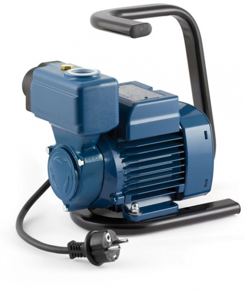 Pedrollo Betty Portable Self Priming Pumps