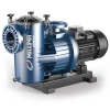 Pedrollo Maxima Self-Priming Swimming Pool Pump