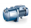 Pedrollo 2-4 CP Multi-Stage Centrifugal Pumps