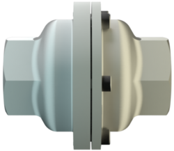 Protego FA-G Flame Arrester, Stainless Steel, Threaded, Inline