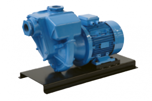 GMP, Self Priming Centrifugal Pump, High Pressure, G3TMK-A & ZPM-A & B3/B5 Motor, for Clear or Slightly Dirty Water