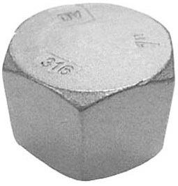 316 Stainless Steel Hex Blanking Cap, 150LB NPT