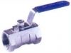 Ball Valve, Lever Handle, 316 Stainless Steel, 1-Pc FF, BSPP