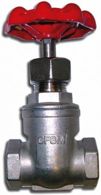 Globe Valve, 316 Stainless Steel, 200LB NPT