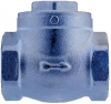 Swing Check Valve, 316 Stainless Steel, FF, 200LB BSPP