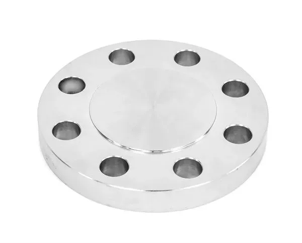 316 Stainless Steel, Raised Face, Blind Flange, ASME B16.5 ANSI 300