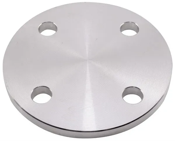 316 Stainless Steel, Blind Flange, BS 10, Table E