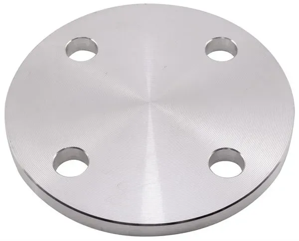 304 Stainless Steel, Blind Flange, BS 10, Table E